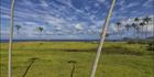 Lord Howe Island - NSW SQ (PBH4 00 11780)
